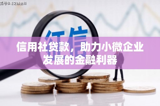 东乌旗信用社贷款，助力小微企业发展的金融利器