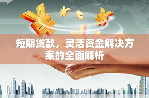 东乌旗短期贷款，灵活资金解决方案的全面解析