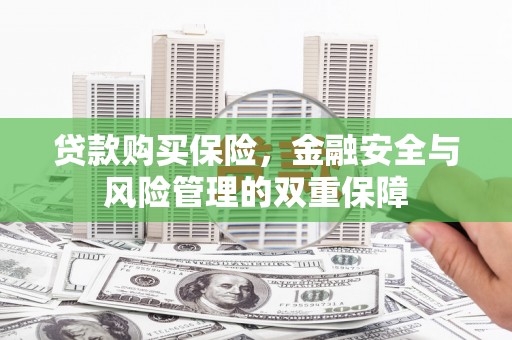 东乌旗贷款购买保险，金融安全与风险管理的双重保障