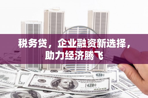 东乌旗税务贷，企业融资新选择，助力经济腾飞