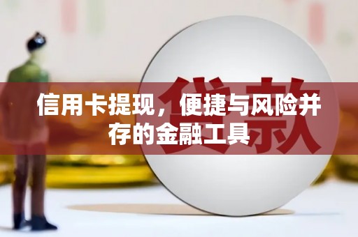 东乌旗信用卡提现，便捷与风险并存的金融工具