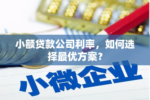 东乌旗小额贷款公司利率，如何选择最优方案？