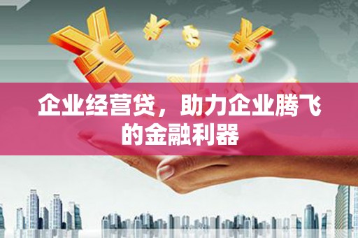 东乌旗企业经营贷，助力企业腾飞的金融利器