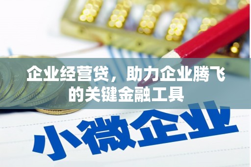 东乌旗企业经营贷，助力企业腾飞的关键金融工具