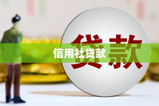 东乌旗信用社贷款