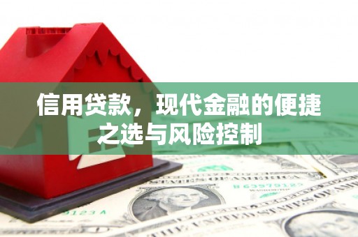 东乌旗信用贷款，现代金融的便捷之选与风险控制