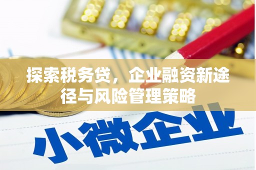 东乌旗探索税务贷，企业融资新途径与风险管理策略