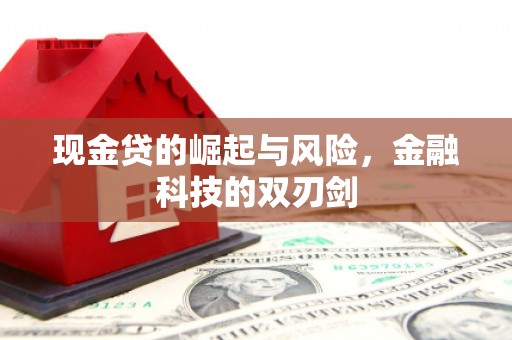 东乌旗现金贷的崛起与风险，金融科技的双刃剑