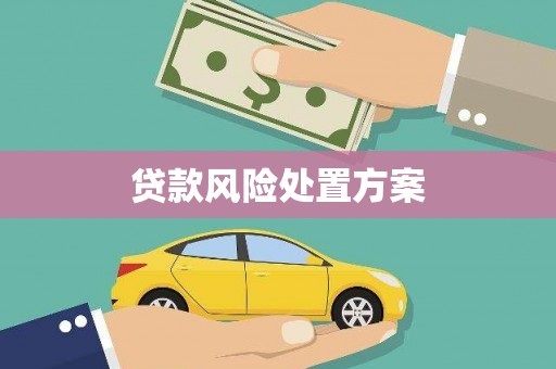 东乌旗贷款风险处置方案