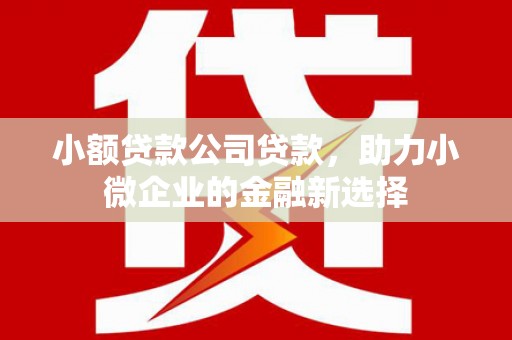 东乌旗小额贷款公司贷款，助力小微企业的金融新选择