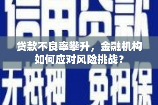 东乌旗贷款不良率攀升，金融机构如何应对风险挑战？