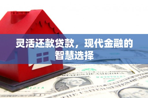 东乌旗灵活还款贷款，现代金融的智慧选择