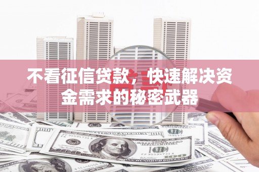 东乌旗不看征信贷款，快速解决资金需求的秘密武器