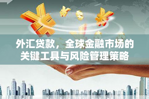 东乌旗外汇贷款，全球金融市场的关键工具与风险管理策略