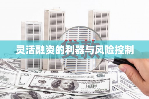 东乌旗灵活融资的利器与风险控制