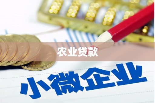 东乌旗农业贷款