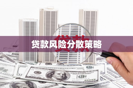 东乌旗贷款风险分散策略