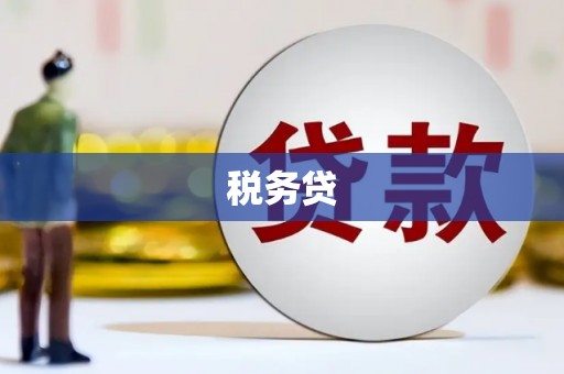 东乌旗税务贷