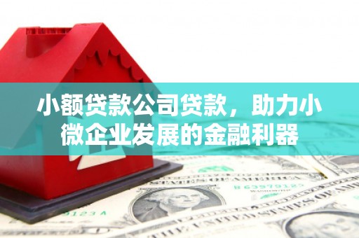 东乌旗小额贷款公司贷款，助力小微企业发展的金融利器