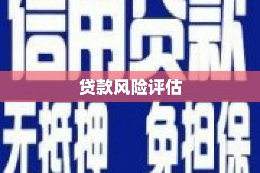 东乌旗贷款风险评估