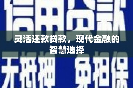 东乌旗灵活还款贷款，现代金融的智慧选择