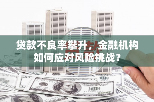 东乌旗贷款不良率攀升，金融机构如何应对风险挑战？