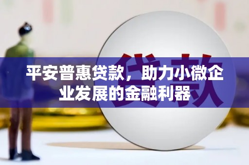 东乌旗平安普惠贷款，助力小微企业发展的金融利器
