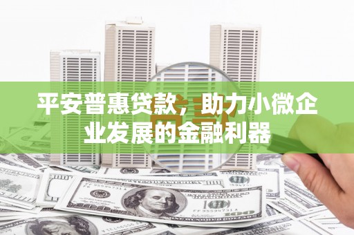 东乌旗平安普惠贷款，助力小微企业发展的金融利器