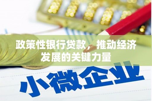 东乌旗政策性银行贷款，推动经济发展的关键力量