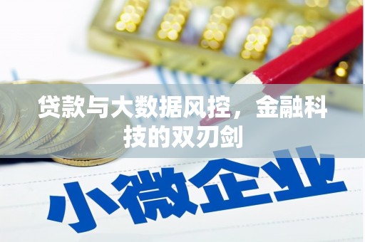 东乌旗贷款与大数据风控，金融科技的双刃剑