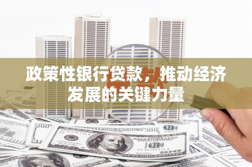 东乌旗政策性银行贷款，推动经济发展的关键力量