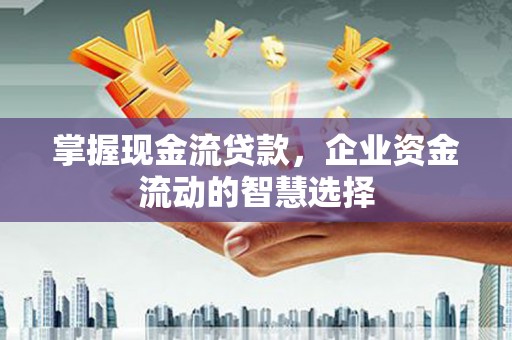 东乌旗掌握现金流贷款，企业资金流动的智慧选择