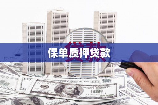 东乌旗保单质押贷款