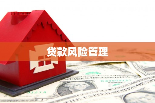 东乌旗贷款风险管理