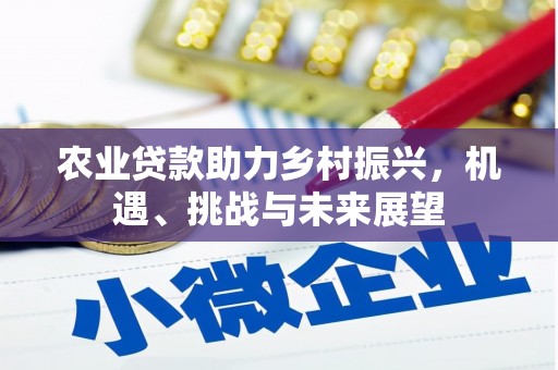 东乌旗农业贷款助力乡村振兴，机遇、挑战与未来展望