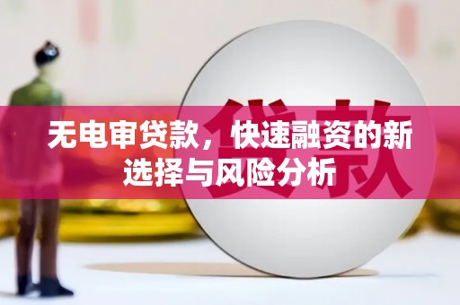 东乌旗无电审贷款，快速融资的新选择与风险分析