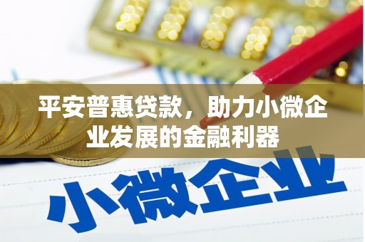 东乌旗平安普惠贷款，助力小微企业发展的金融利器