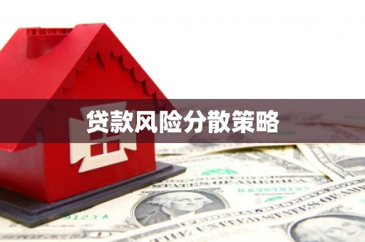 东乌旗贷款风险分散策略