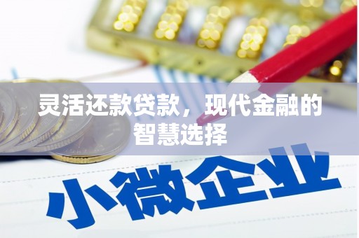 东乌旗灵活还款贷款，现代金融的智慧选择