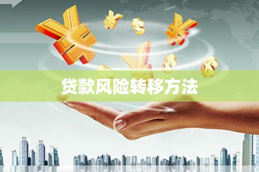 东乌旗贷款风险转移方法