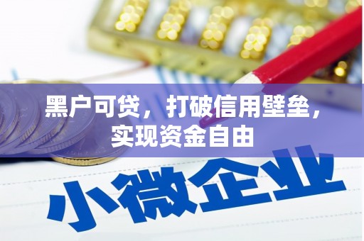 东乌旗黑户可贷，打破信用壁垒，实现资金自由