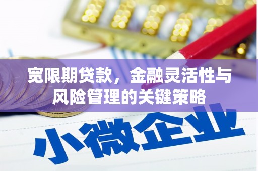 东乌旗宽限期贷款，金融灵活性与风险管理的关键策略