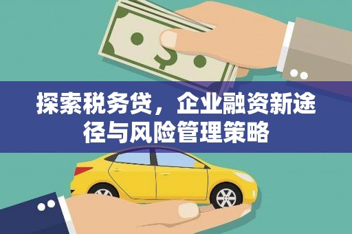 东乌旗探索税务贷，企业融资新途径与风险管理策略