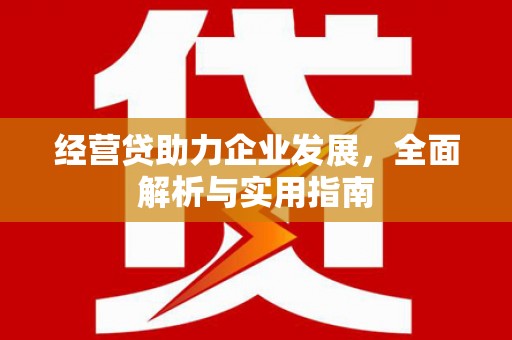 东乌旗经营贷助力企业发展，全面解析与实用指南