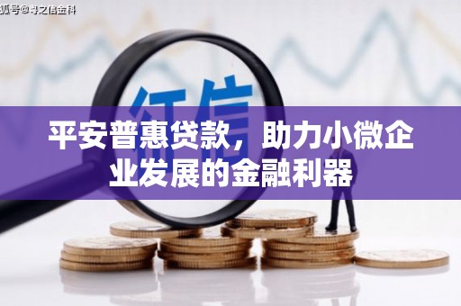东乌旗平安普惠贷款，助力小微企业发展的金融利器