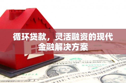 东乌旗循环贷款，灵活融资的现代金融解决方案