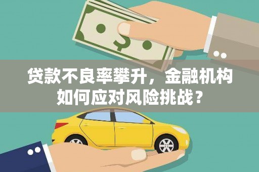 东乌旗贷款不良率攀升，金融机构如何应对风险挑战？