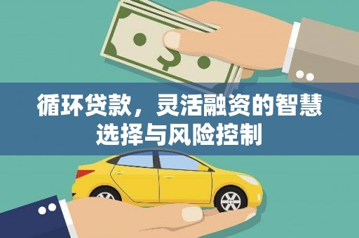 东乌旗循环贷款，灵活融资的智慧选择与风险控制