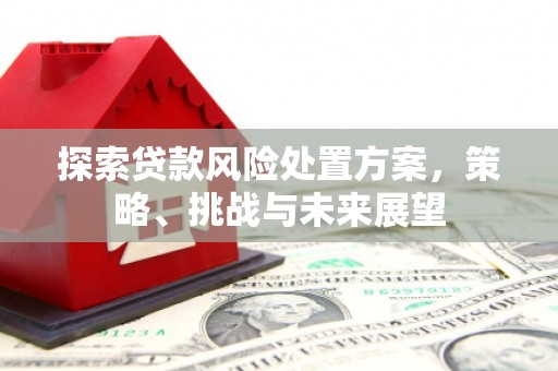东乌旗探索贷款风险处置方案，策略、挑战与未来展望