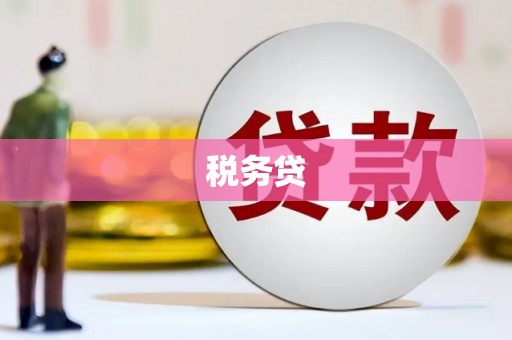 东乌旗税务贷